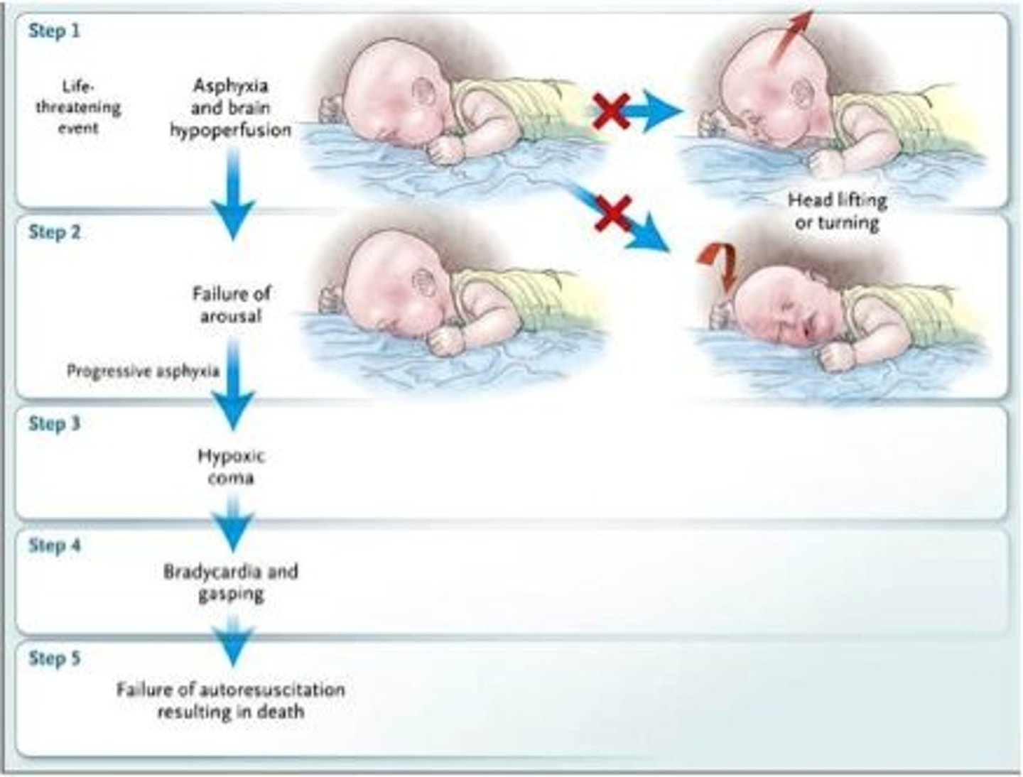 <p>muerte de cuna, fallecimiento en la cuna del bebé, muerte en la cuna</p>
