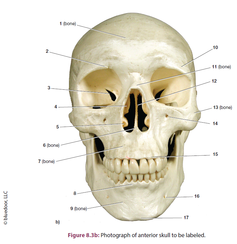 <p>14</p>