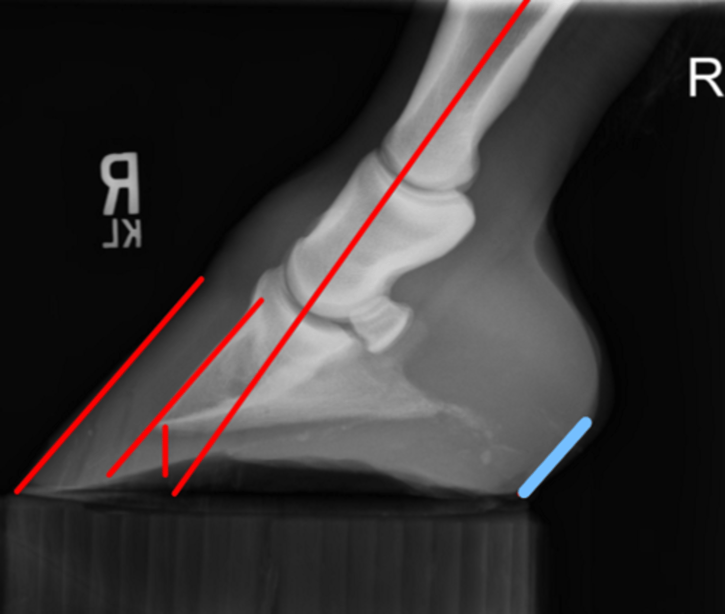 <p>What measurement is this?</p>