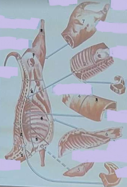 <p>półtusza barania 3</p>
