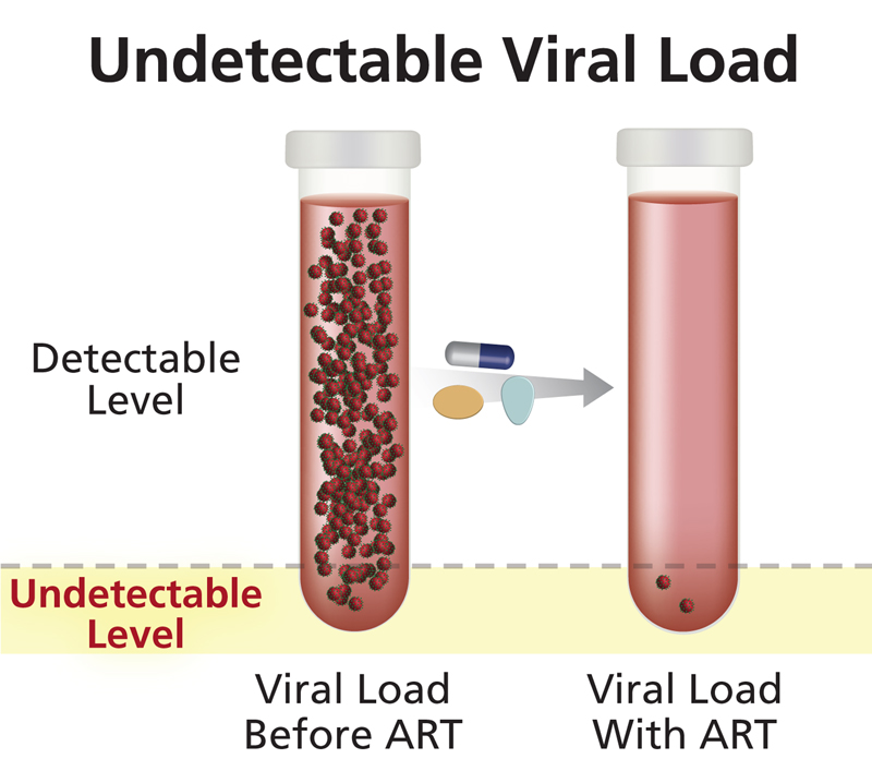 <p>Viral Load is →</p>