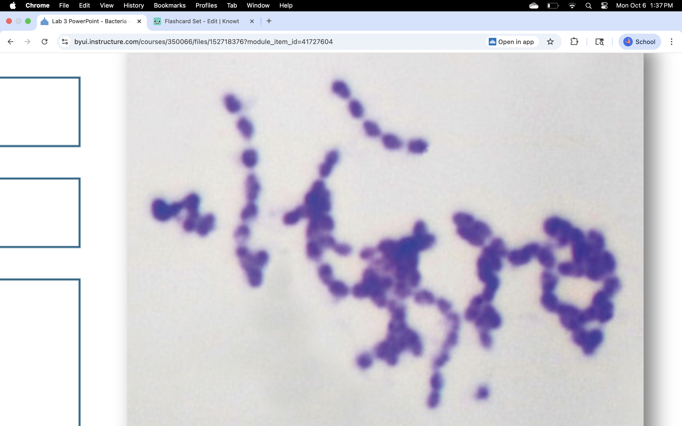 knowt flashcard image