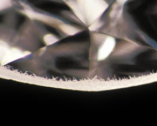 <p>What inclusion is this?</p>