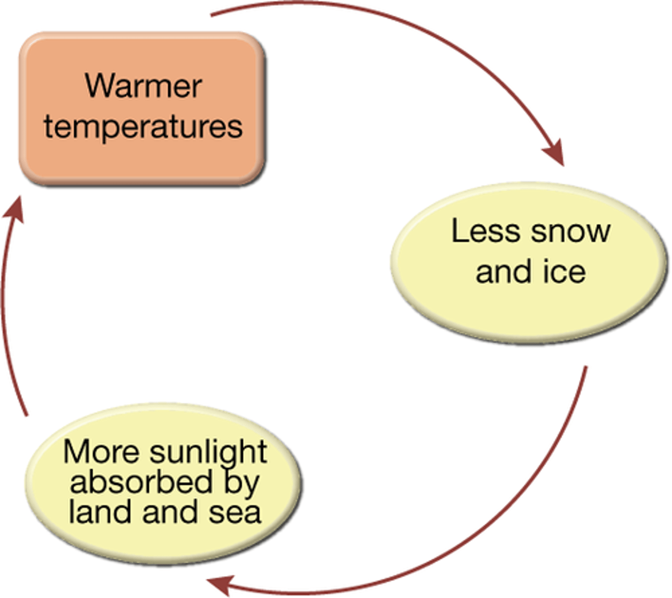 <p>Higher temperatures increase the melting of snow and ice, leading to reduction of surface albedo so more sunlight absorbed by land and sea. Temperatures increase further, which leads to further melting.</p>