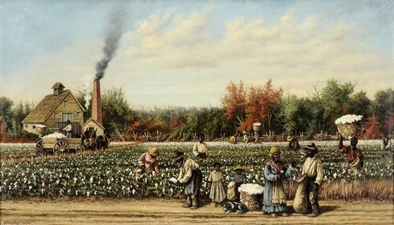 <p>plantation</p>