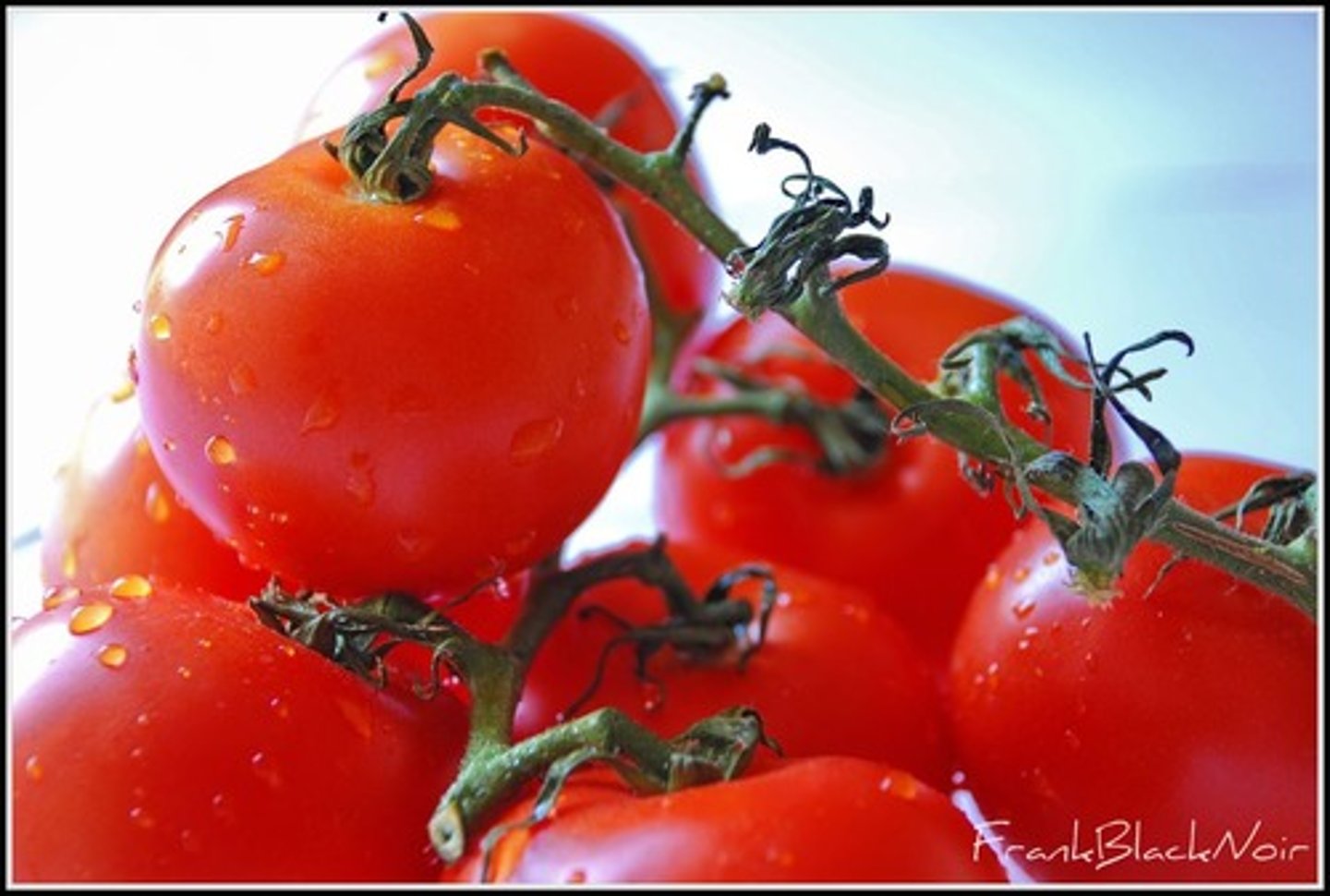 <p>the tomatoes</p>