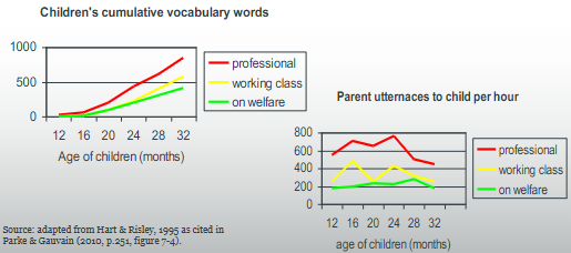<ul><li><p><strong>Social class and vocabulary development</strong></p></li></ul><p>Differences in children’s vocabulary size and the frequencies with which parents talk to their children dependent on social class. </p><ul><li><p>Higher for professional class vs the welfare class</p></li></ul><p></p>