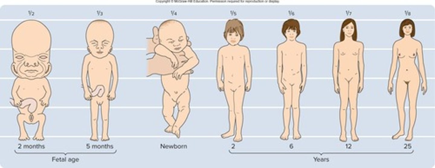 <p>120-125 years</p>