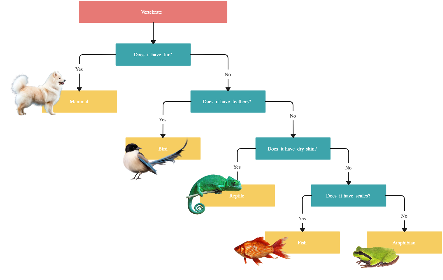 <p><span>a tool used for identifying an unknown item or organism by presenting a series of paired, contrasting choices </span></p>