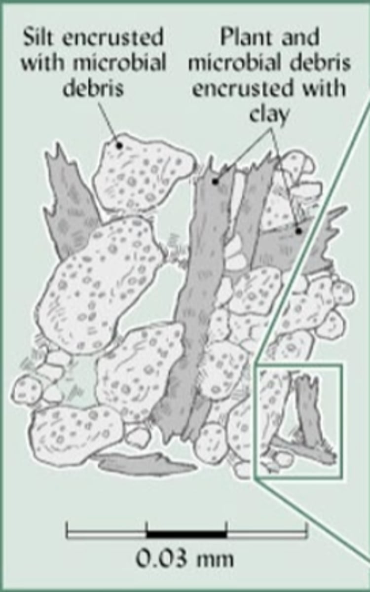 <p>0.03 mm diameter aggregates consisting of mineral grains encrusted with plant and microbial debris, or plant debris coated with clay</p>