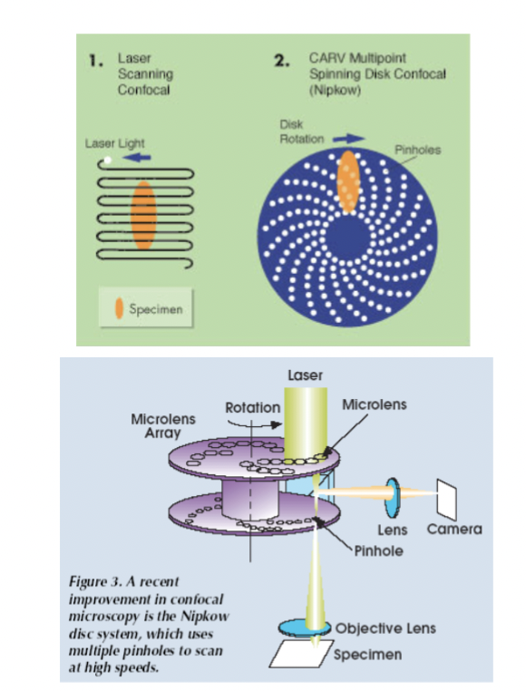 <p>alternative to confocal laser scanning microscopy; Single point of scanned laser illumination is replaced by ____________ with many pinholes, and PMT replaced by CCD camera. </p><p>Benefits: not as phototoxic and very fast</p>