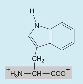 <p>hydrophobic (nonpolar)</p>