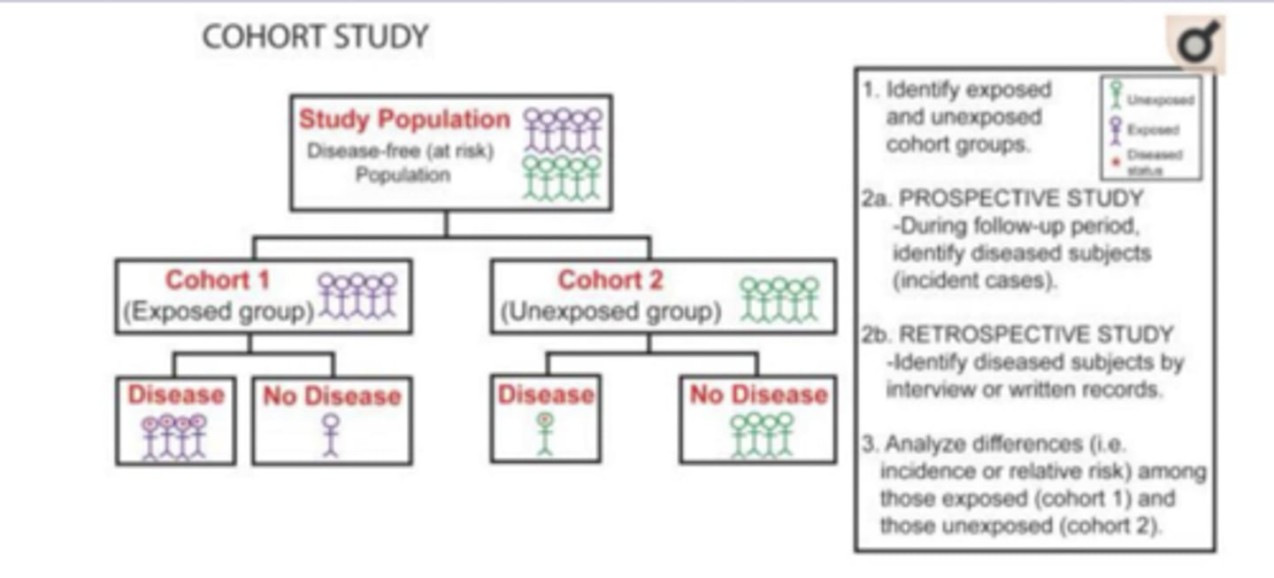 <p>1. Group of subjects (Smokers) + Comparison group (Non-smokers)<br><br>2. Follow up for both groups (incidence of cancer)<br>- Prospective: During follow-up period, identify diseased subjects (incident cases).<br>- Retrospective: Identify diseased subjects by interview or written records.<br><br>3. Compare the outcomes of the two groups and draw conclusions</p>