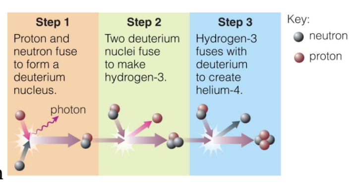 <p><span style="background-color: transparent;"><span>Protons → Deuterium (1 proton and 1 neutron) → Helium-3 (2 protons and 1 neutron) → Lithium-7 (3 protons and 3 neutrons)</span></span></p><p><span style="background-color: transparent;"><span>Protons and neutrons combined to make longlasting helium nuclei when universe was ~ 3 minutes old</span></span></p><ul><li><p><span style="background-color: transparent;"><span>Happened when the universe was first forming, it was so hot and dense that everything (protons and neutrons) smashed together</span></span></p></li></ul><p></p>