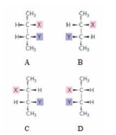 <p><span>Which statement correctly describes the molecules shown? </span></p>