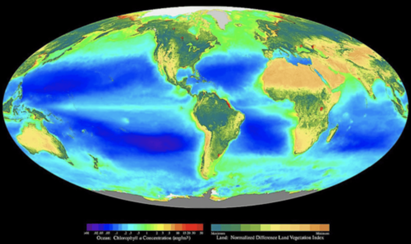 <p>- High in rainforest areas (Indonesia, Philippines, South America, Central Africa)</p><p>- Very Low in desert areas (North Africa, Middle East)</p><p>- Generally Highest around the equator (perfect climate)</p><p>- Human impact</p>