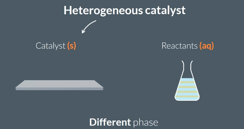 <p><span><span>Heterogeneous catalysts are in…</span></span></p><p><span>Homogeneous catalysts are in…</span></p>