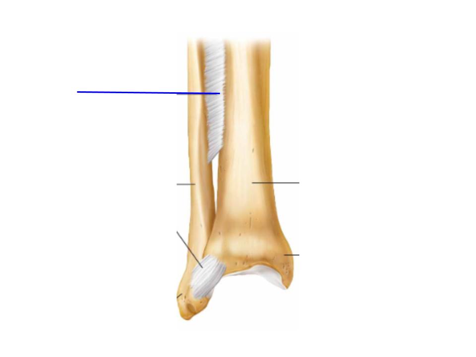 <p>What is this image pointing at? </p>