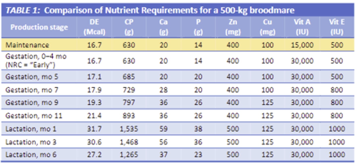 <p>increase the mares requirements, highest at early lactation</p>