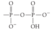 <p>What is the name of this functional group or linkage?</p>