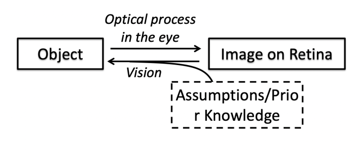 <p>Constraining principles</p><ul><li><p>Mid-level visual system also uses assumptions/prior knowledge of what to bind together and what not to</p></li></ul>