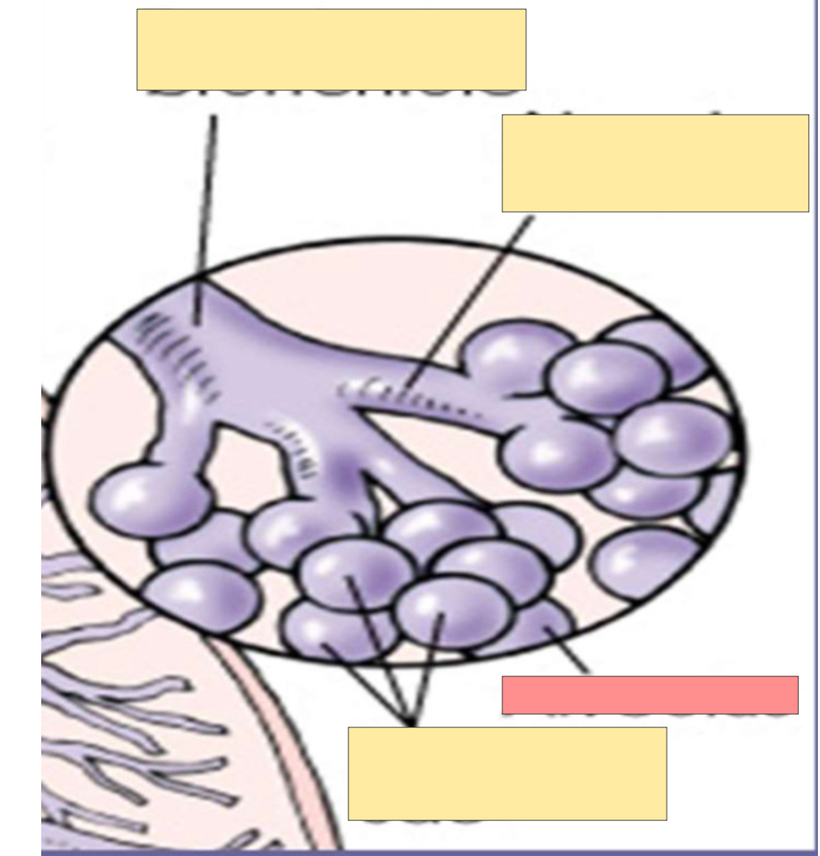 <p>What is this? </p>