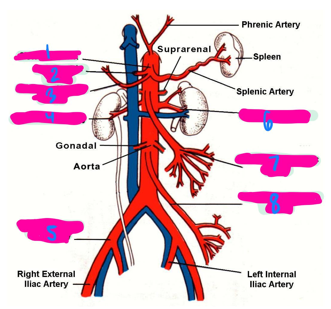 <p>6</p>