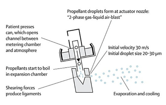 <p>patient presses can opening channel between metering chamber at atmosphere, propellants start to boil in expansion chamber (temp also changes), shearing forces produce ligaments, propellant droplets form at actuator nozzle, evaporating and cooling then occurs, drug come out in a stream, front ones have higher volcity and bigger droplet size which are affected by inertial impaction more&nbsp;</p>