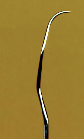 <p><span><strong>Tip bent at 90-degree angle to lower shank</strong></span></p><p><span><strong>Long, complex shank </strong></span><strong>design</strong></p><p><span>Can access deeper pockets</span></p><p><span>Complex=posterior and anterior teeth use</span></p><p><span>Supra + sub due to rounded back</span></p><p><span><strong> An assessment instrument with a flexible wire-like working-end</strong></span></p><p><span><strong> Used to detect subgingival calculus deposits</strong></span></p><p><span><strong> Made of flexible metal that conducts vibrations from the working-end to the clinician’s fingers</strong></span></p>