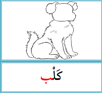 <p></p>