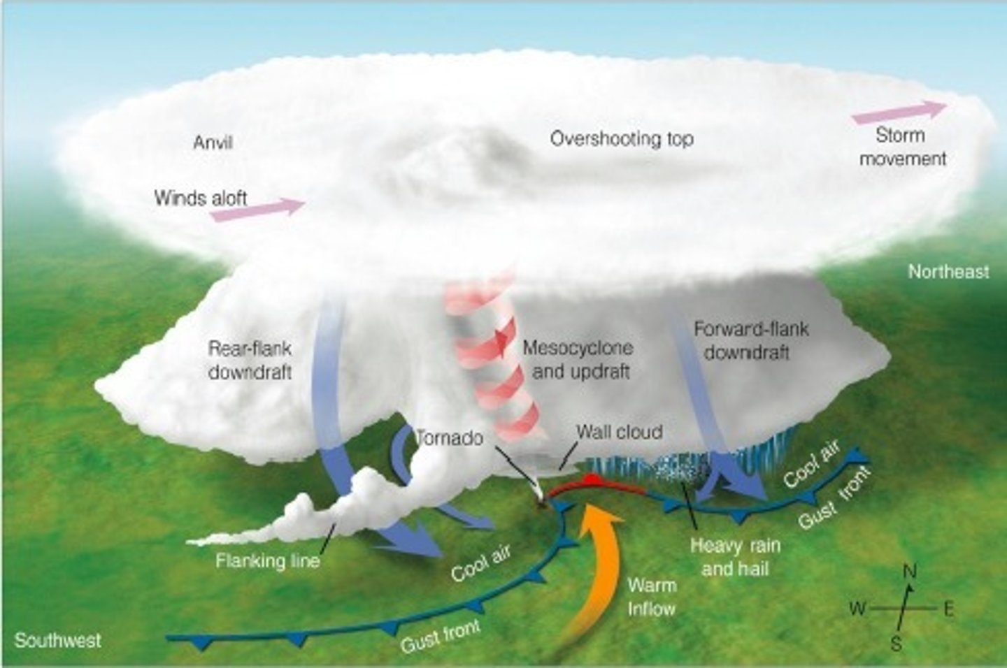 <p>Rear portion of the mesocyclone's downdraft</p>