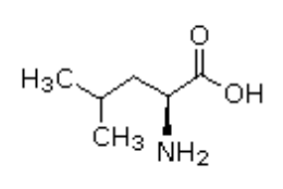 <p>Which amino acid is this (bond-line)?</p>