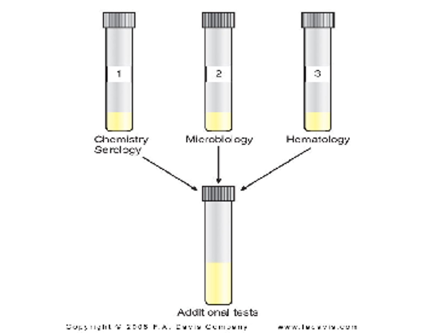 <p>Ideally CSF tests are performed STAT, if not possible-</p><p>*Hematology Tubes are refrigerated</p><p>*Microbiology Tubes remain at Room Temp</p><p>*Chemistry and Serology tubes are Frozen</p>