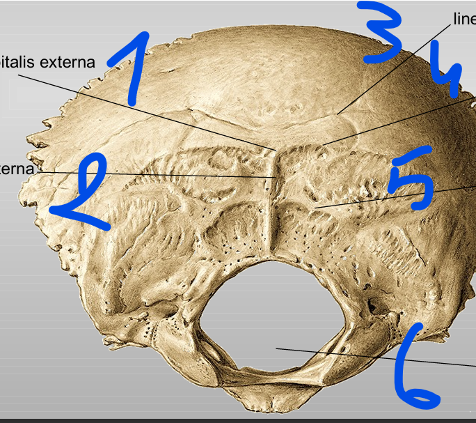 <p>1</p>