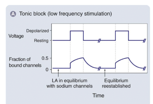 channel opens infrequently, drug diffuses away between action potentials