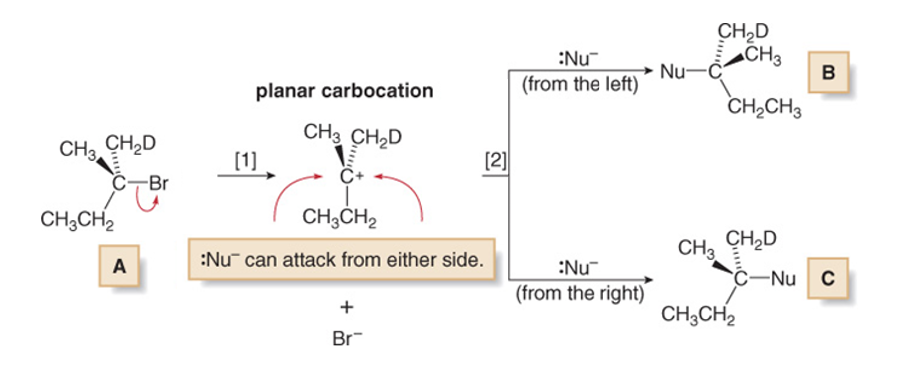 <ul><li><p>Since nucleophilic addition occurs after formation of carbocation, reaction rate is not normally affected by nature or concentration of nucleophile</p></li><li><p>In general, though, if there is competition between SN1 and SN2, strong nucleophiles tends to favour the SN2 mechanism, weak nucleophiles SN1</p></li></ul><p></p>