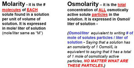 <p>osmolarity </p>