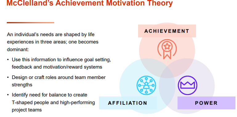 <p>A human motivation theory which states that every person has one of three main driving motivators: the needs for achievement, affiliation, or power. Those with a strong need for affiliation don't like to stand out or take risk, and they value relationships above anything else.</p>