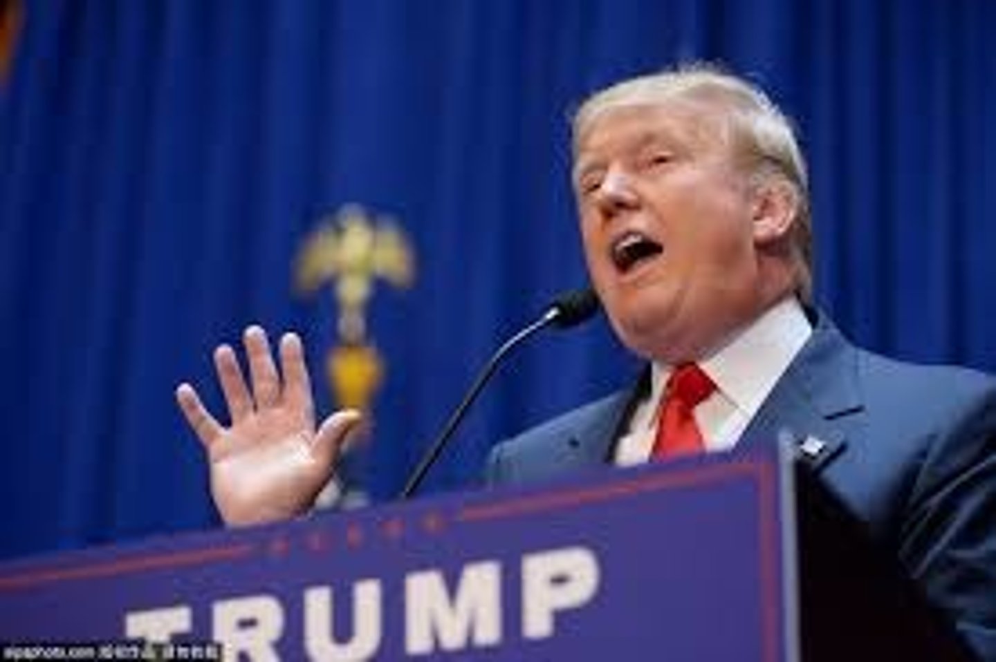 <p>to announce something clearly, firmly, publicly, or officially: tuyên bố, công bố.</p>