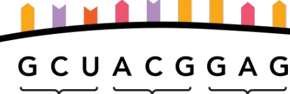 <p>Three nucleotides on mRNA that specify amino acid.</p>