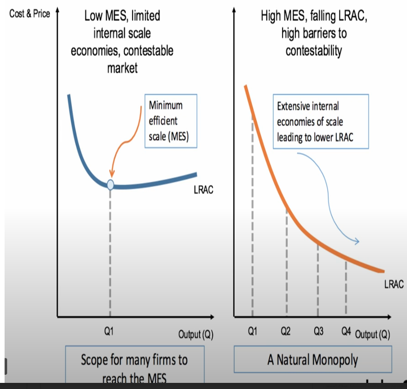 <p>Low MES (relative to market size): This indicates that a small output can achieve low average costs, leading to lower barriers to entry and a more competitive market with many smaller firms.</p>