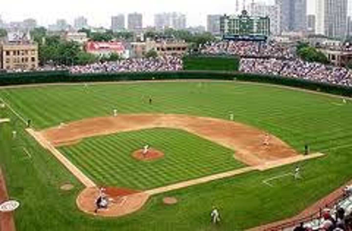 <p>field / court</p>