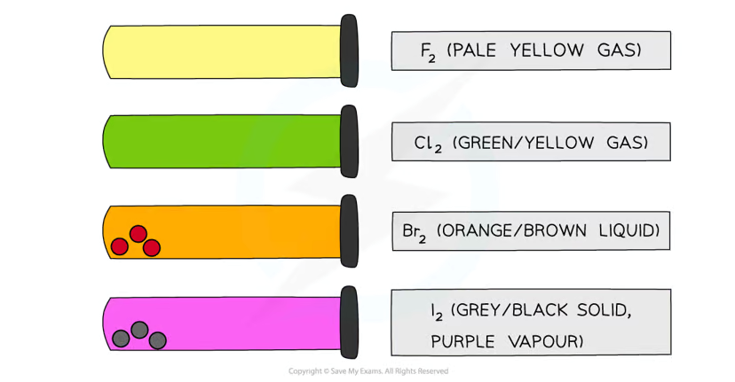 <p><strong>Trend:</strong></p><ul><li><p>The colours of halogens become <strong>darker</strong> as you move <strong>down the group</strong> due to increasing molecular size and electron density.</p></li></ul><p></p>