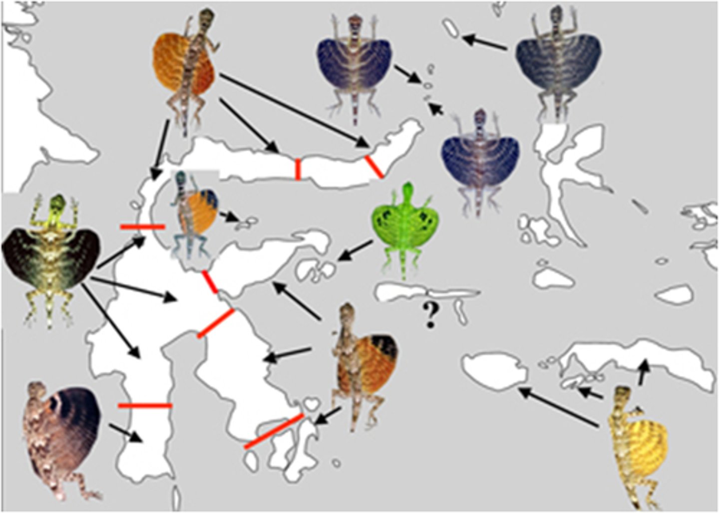 <p>Geographic distribution of species.</p>