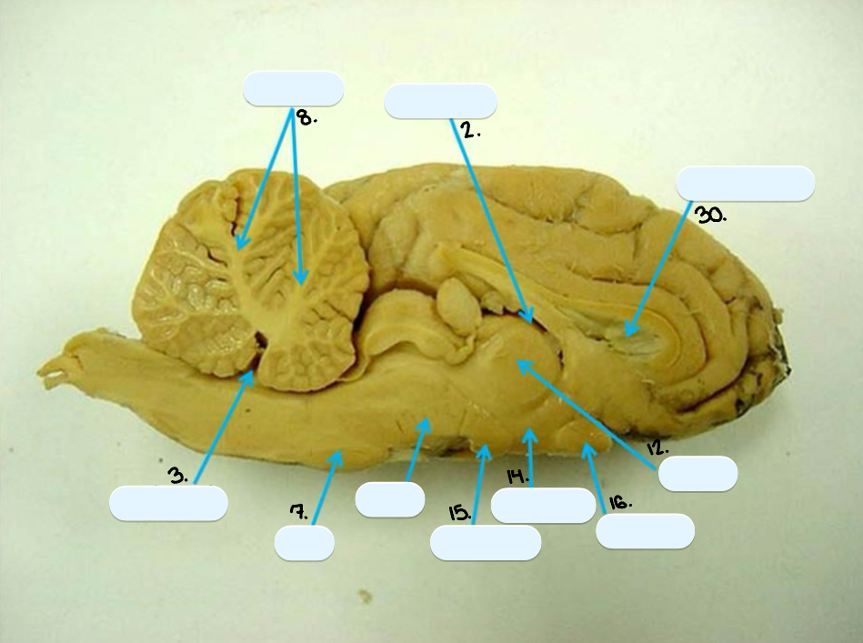 <p>14.</p>
