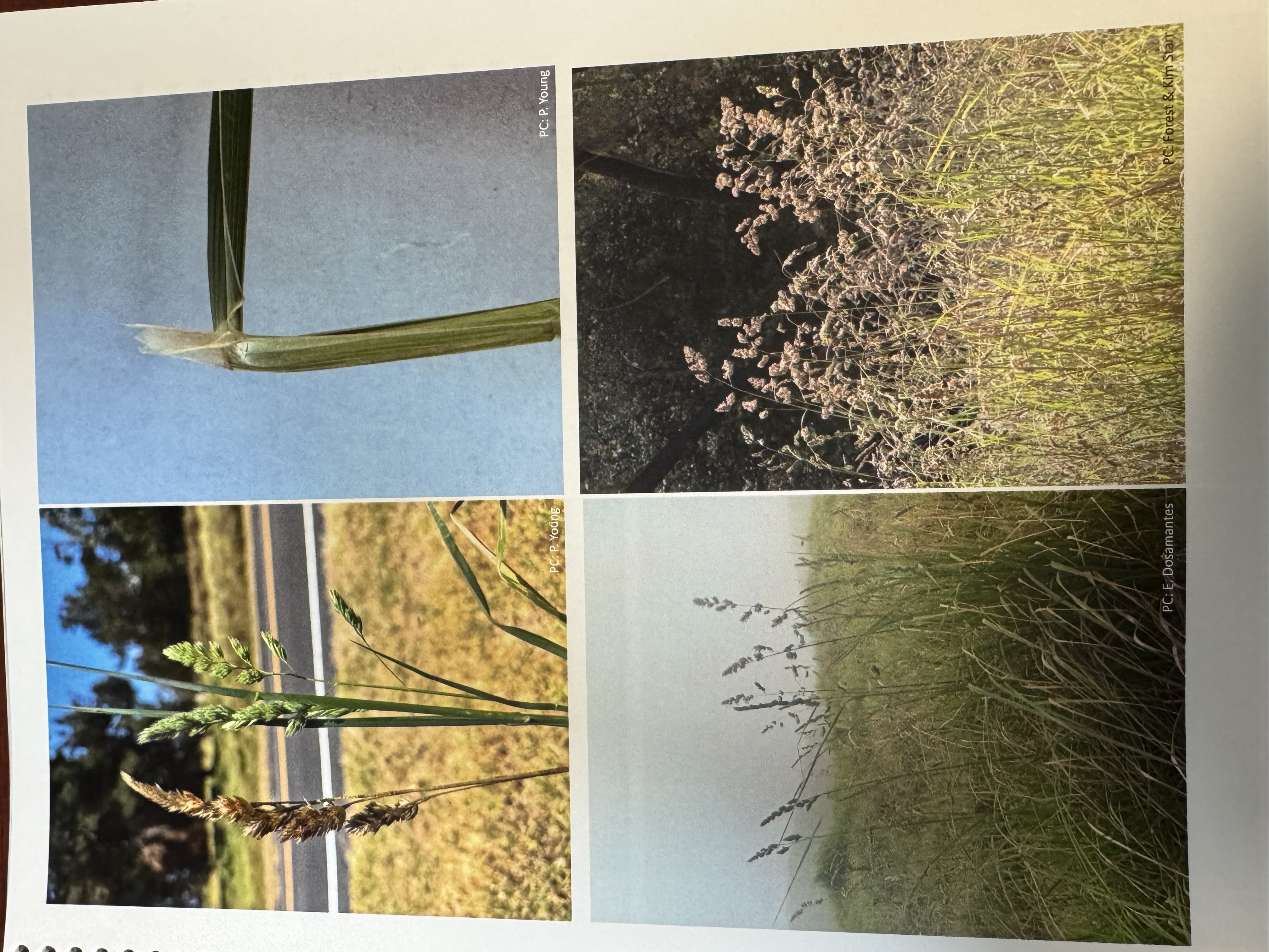 <img src="blob:null/f8c69436-ca12-498a-859d-71f3c5877685"><p></p>