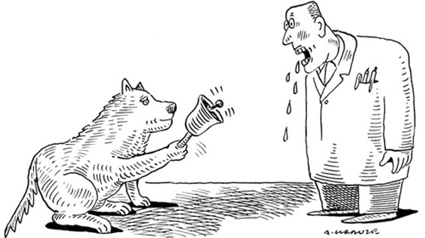 <p>A process of learning in which an individual forms connections between events that occur together.</p>