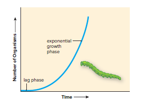 Exponential growth.