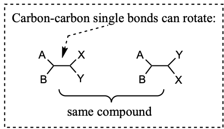 <ul><li><p>Carbon-Carbon single bonds can freely rotate</p></li></ul><p></p>