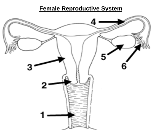 <p>What is 3?</p>